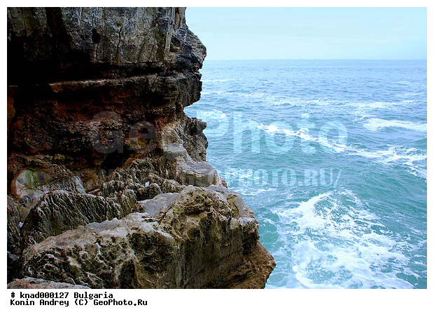 ���������, ����������, ������, �����, ��� �������, ���������, �����