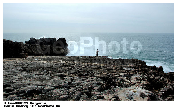 ���������, ����������, ������, �����, ��� �������, ���������, �����