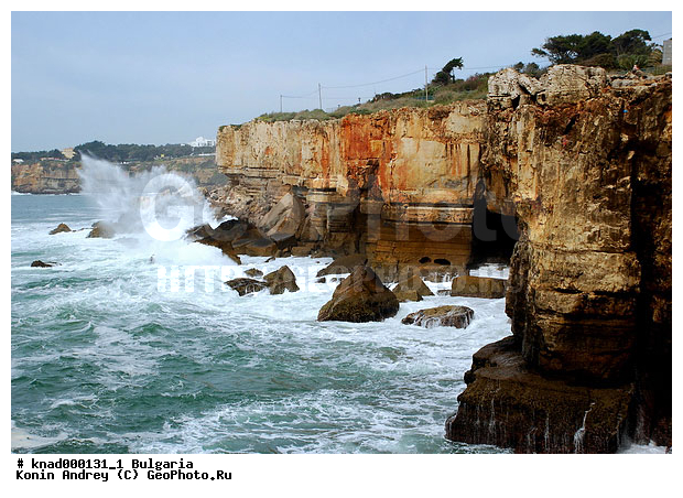 ���������, ����������, ������, �����, ��� �������, ���������, �����