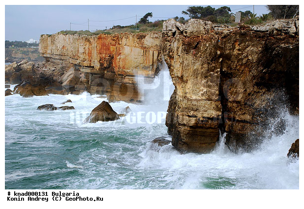 ���������, ����������, ������, �����, ��� �������, ���������, �����