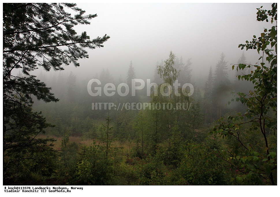 ����������� �������, ��������, ������, �����