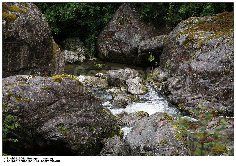 �������, ��������, ����