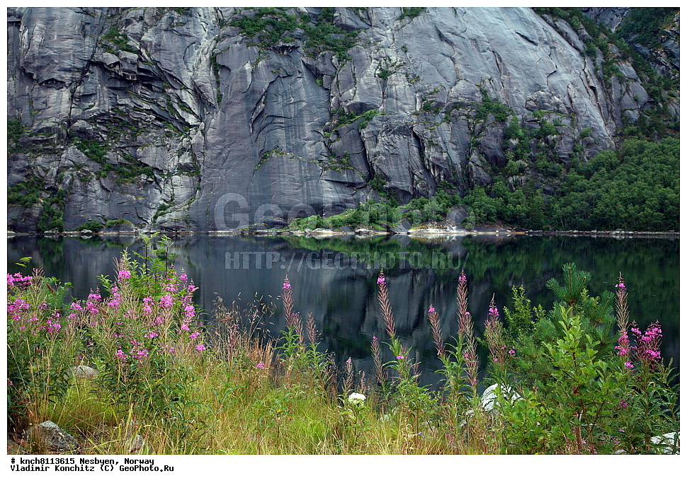 �������, ��������, �����