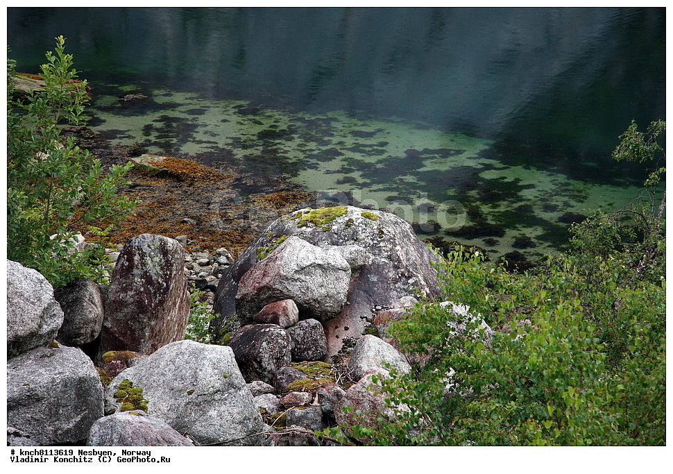 �������, ��������, �����