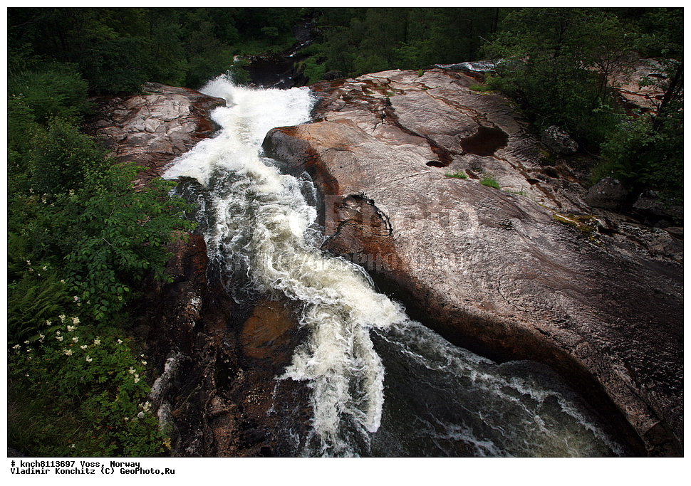 ����, ��������, �������