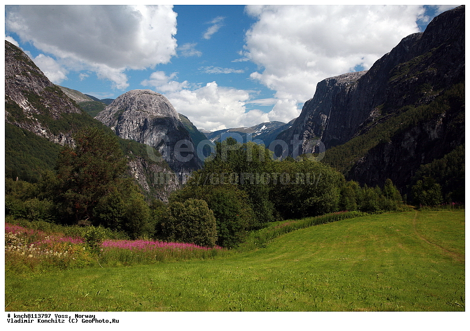 ����, ��������, ����