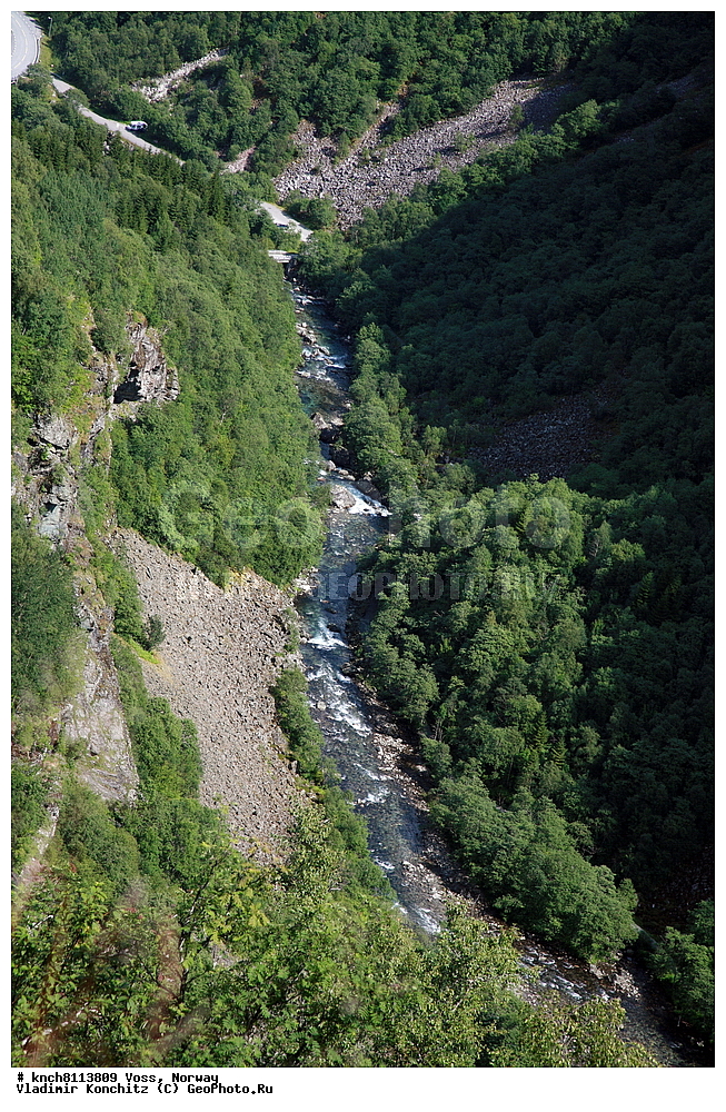 ����, ��������, ����