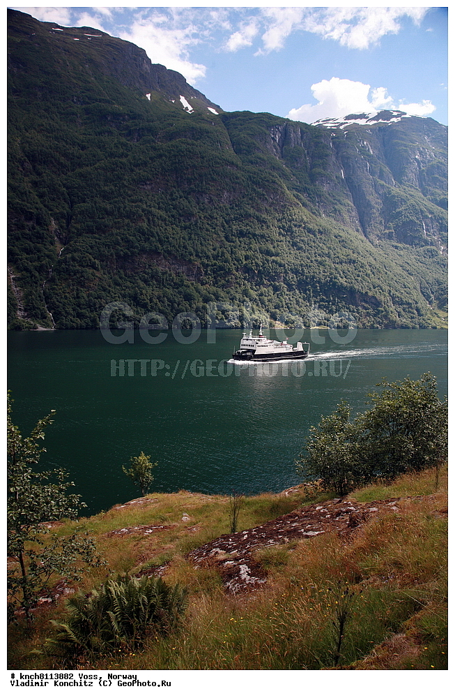 ����, ��������, ������, �����