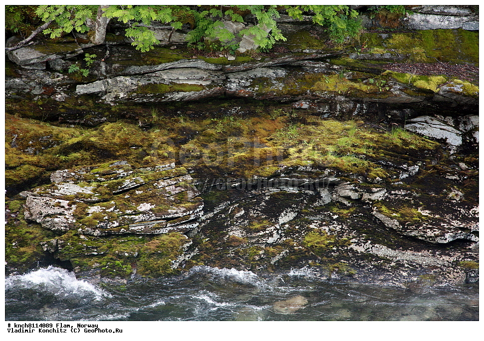 ����, ���������, �����