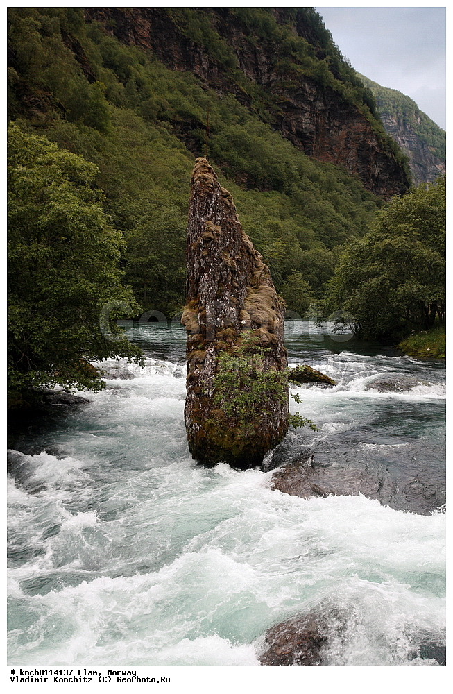 ����, ���������, ����