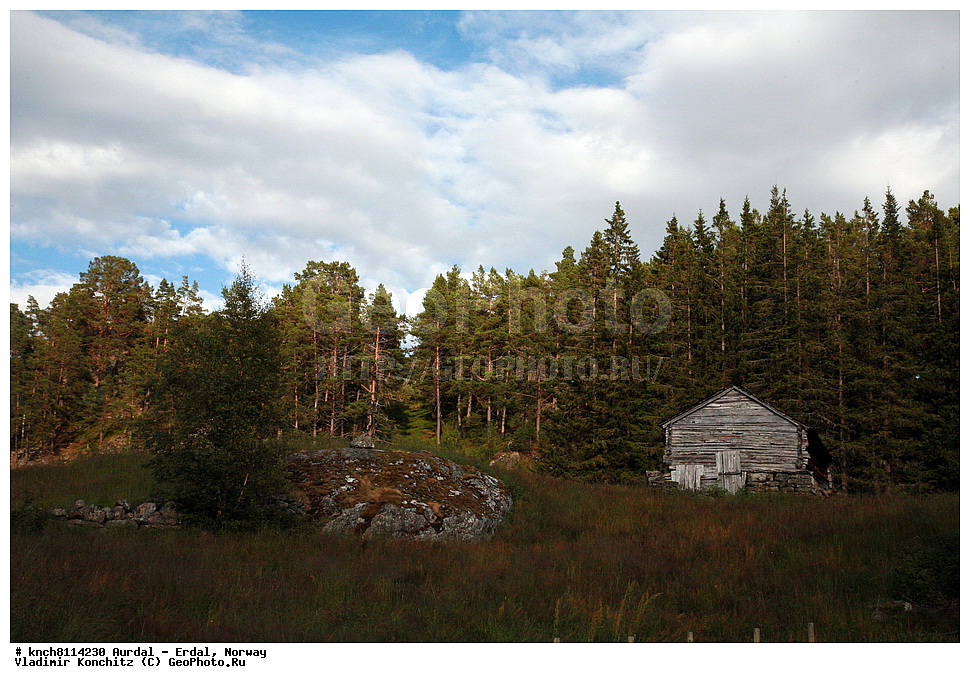 ������ - �����, ��������, ����