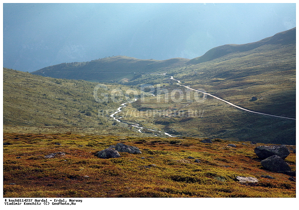 ������ - �����, ��������, ������ ����, ����, ����