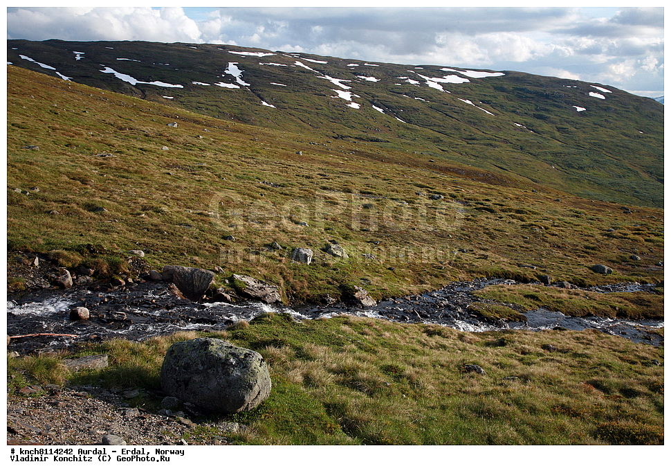 ������ - �����, ��������, ������ ����, ����, ����