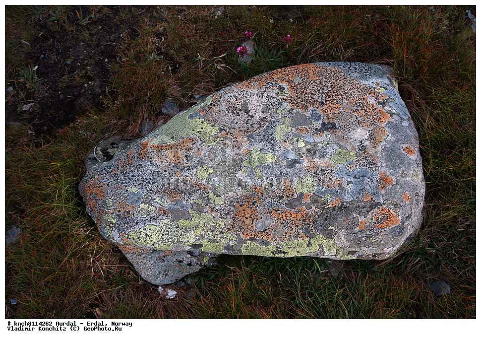 ������ - �����, ��������, �����