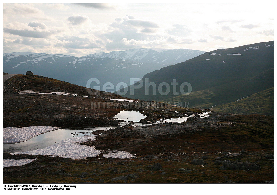 ������ - �����, ��������, ������