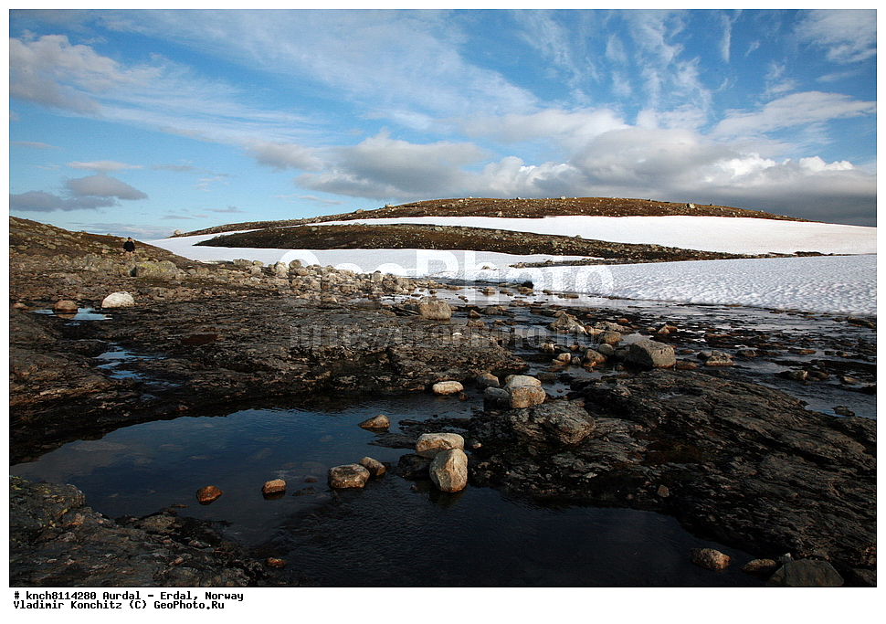 ������ - �����, ��������, ������