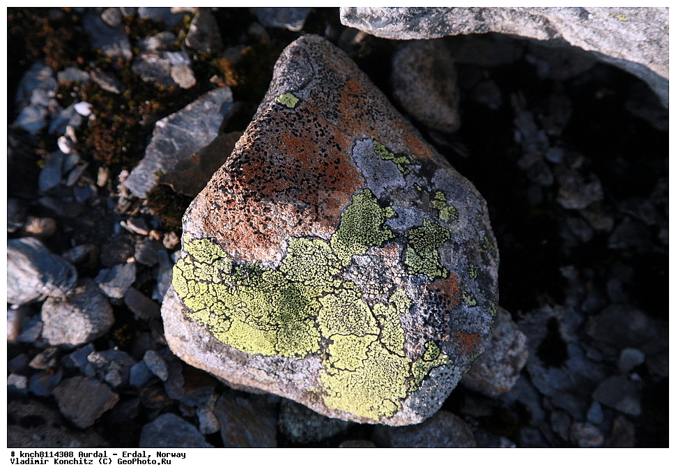 ������ - �����, ��������, �����