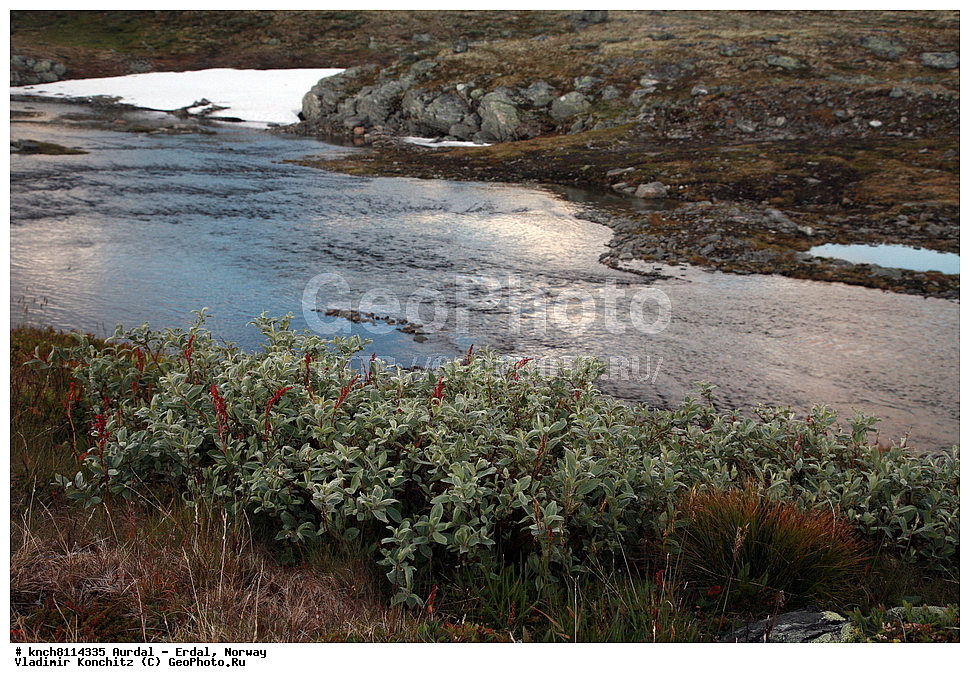 ������ - �����, ��������, ������