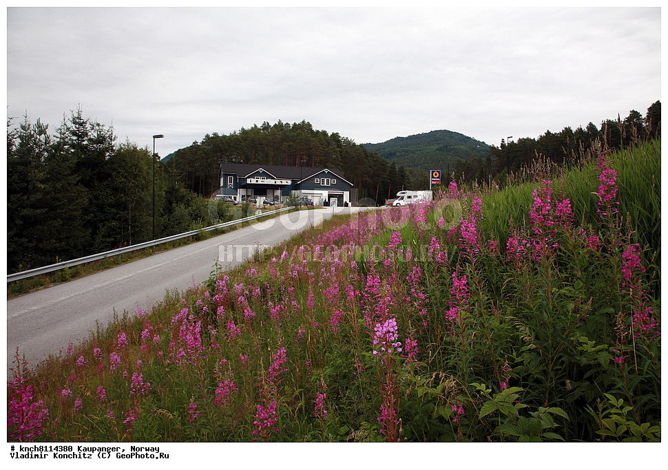 ���������, ��������, ������