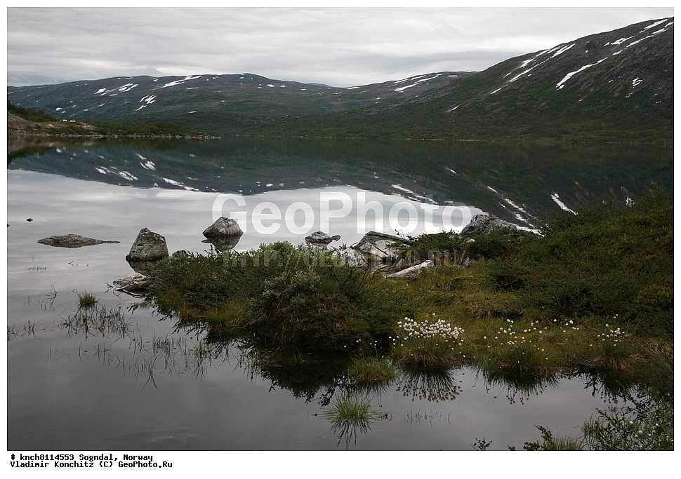 �������, ��������, �����