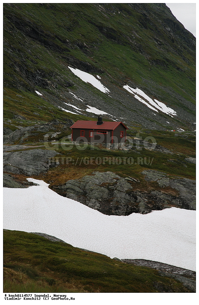 �������, ��������, �����, ������