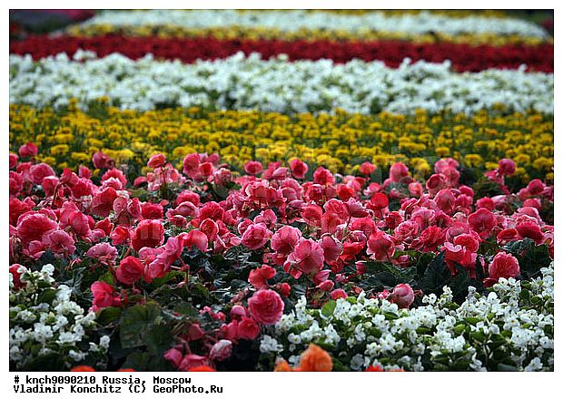 ������, �����, ������, �������, ������