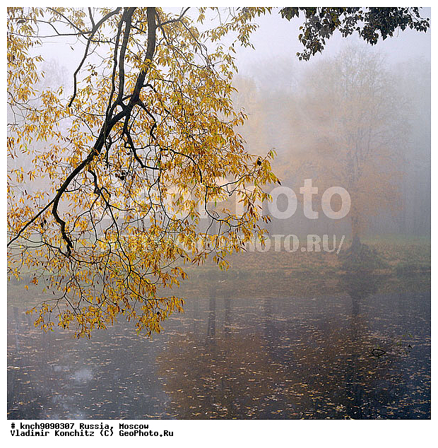 ������, ������������ ���, ����, ������, ����, ������, ����, ��������, �����, �����