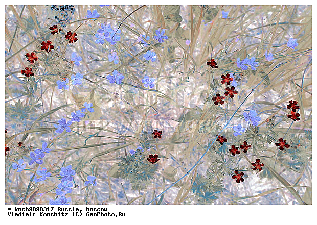 ������, ��������, �������, ������