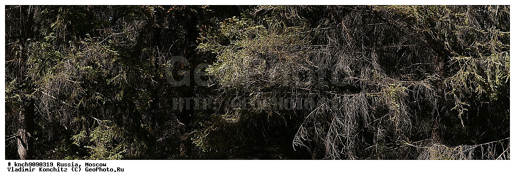 ������, ��������, �������, ������