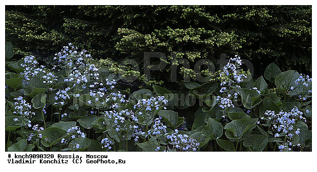 ������, ��������, �����, �������, ������, ������