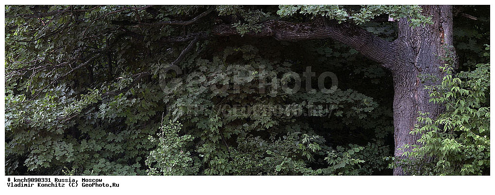 ������, ������, ��������, �������, ������