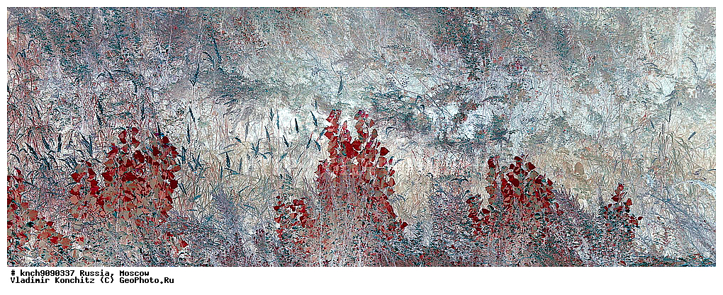 ������, ��������, �������, ������