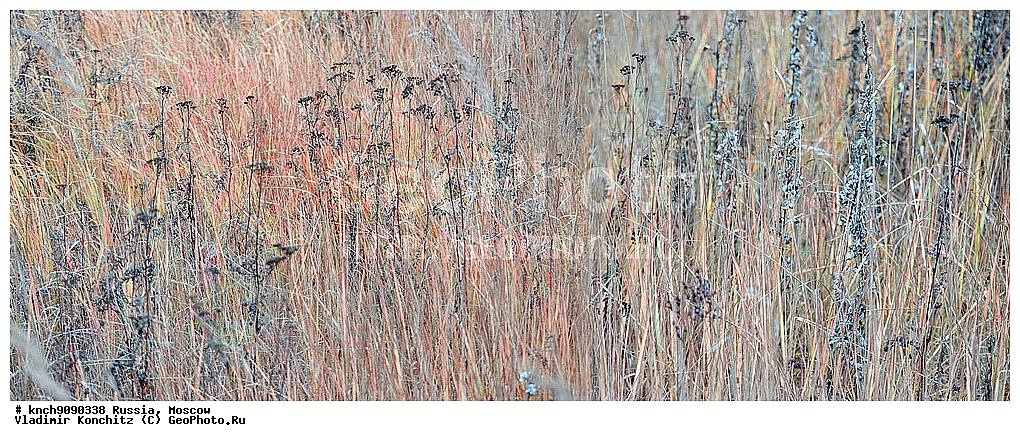 ������, ��������, �������, ������