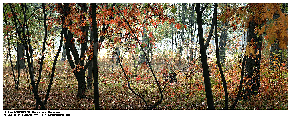 ������, ������������ ���, ������, ����, ������, ��������, ��������, �����, ����� �����