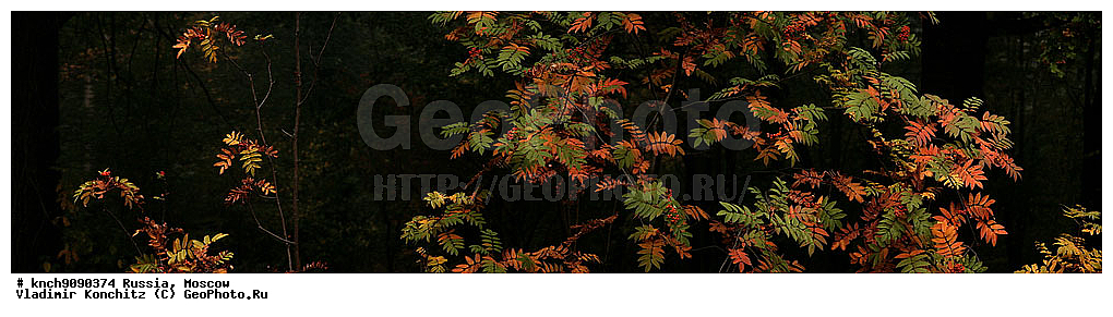 ������, ��������, �������, ������