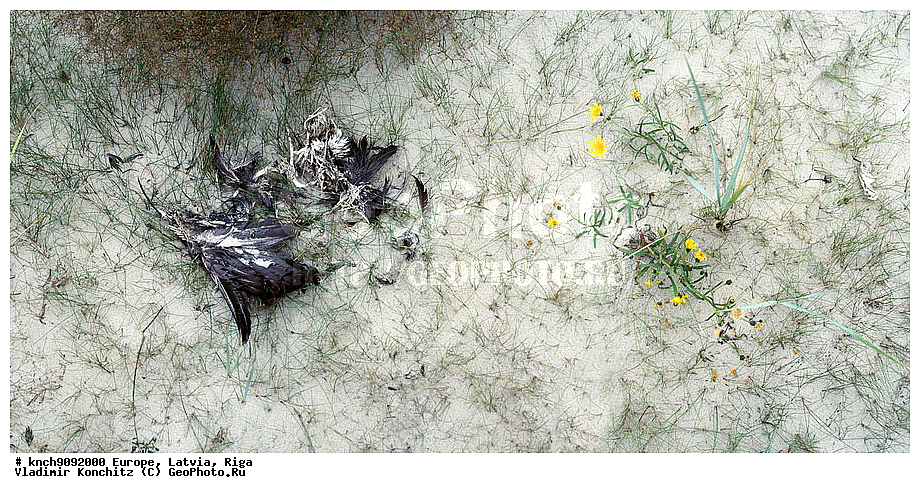 �������, ������, ����, ��������, ���������, ��������, �����, ������