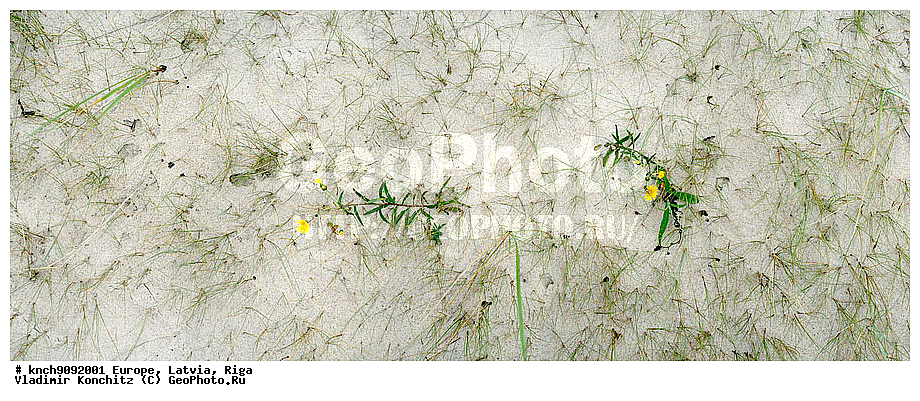 �������, ������, ����, ��������, ���������, ��������, �����, ������