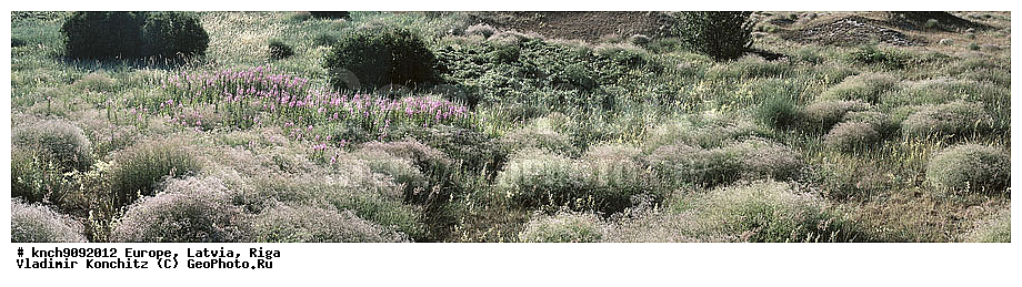 �������, ������, ����, ��������, ���������, ��������, �����