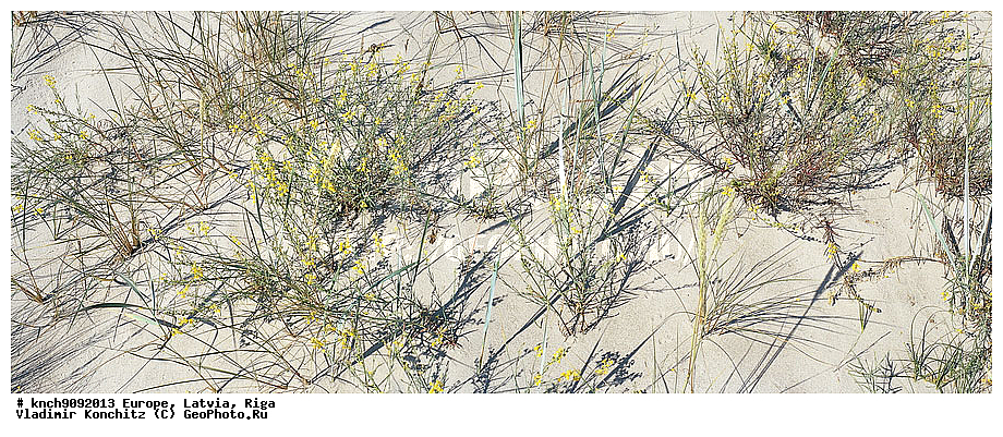 �������, ������, ����, ��������, ���������, ��������, �����