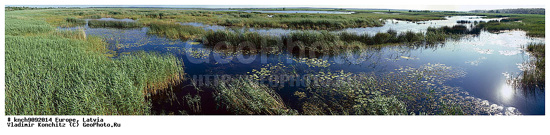 �������, ������, �����, ����, ����, ���������, ��������, ��������, �����