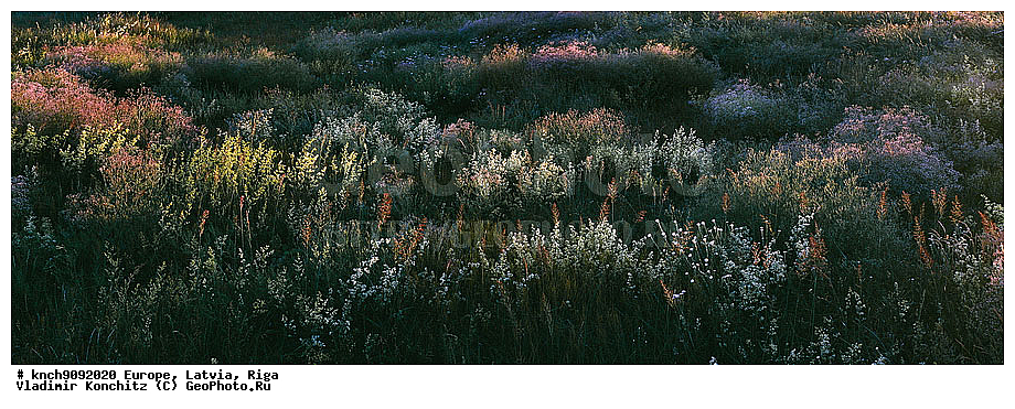 �������, ������, ����, ���, ��������, ���������, ��������, �����, ������