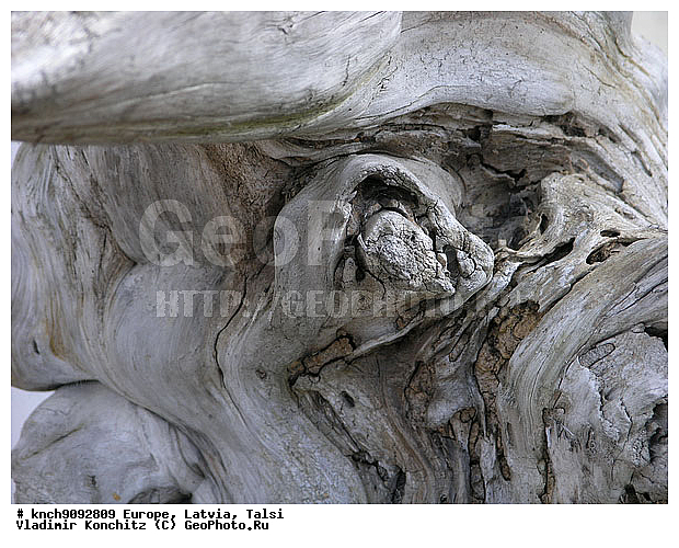 ������, �����, �����, ������, �����, �������