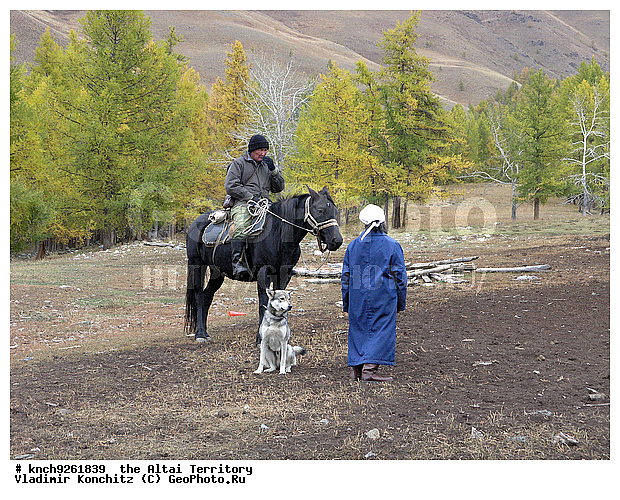 �������� ���������, ������