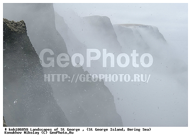 Landscapes of St George, ��������� ����, ������ ������� �������, ������ ������� ������� (��������� ����). ���� ��������� � �������� ��������, ����������� ������� ��������