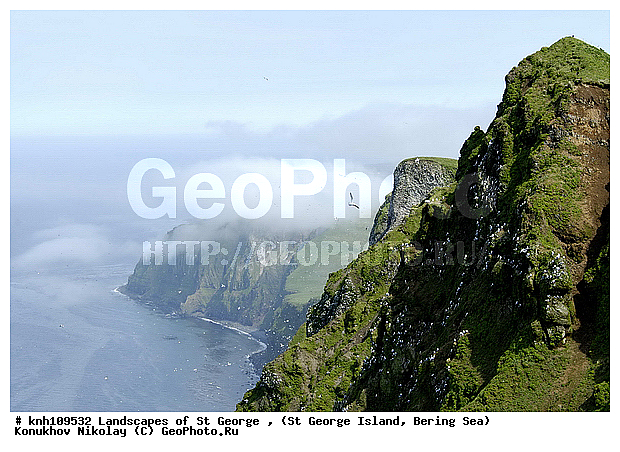 Landscapes of St George, ��������� ����, ������ ������� �������, ������ ������� ������� (��������� ����). ���� ��������� � �������� ��������, ����������� ������� ��������