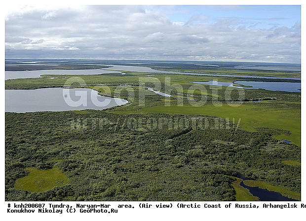 Tundra, ����������� ���������, ������������� �������, ������ ���, �������, ������, ������ � ������ ����� ���������. ��� ������, �������, ����������, ��������������, ��� ������