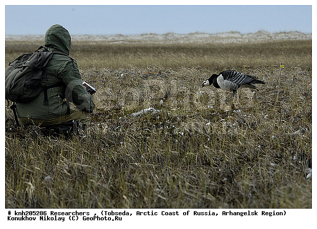 Researchers, ����������� ���������, ������������� �������, �������, �������, ��������� ���� � ������ � ������ �������, DONE, XYZ