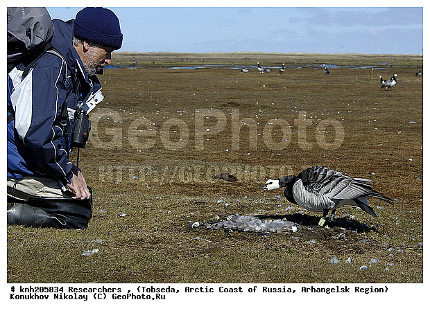 Researchers, ����������� ���������, ������������� �������, �������, �������, ��������� ���� � ������ � ������ �������, DONE, XYZ