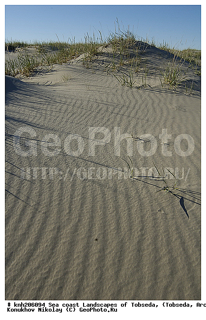 Sea coast Landscapes of Tobseda, ����������� ���������, ������������� �������, �������, ���������� �������, �������, ��������� �����, �������� ������, ������, ������� , ����������� ���������,���������, ������, DONE, ����������� ���������, ��������, �������, ��������� ������, XYZ