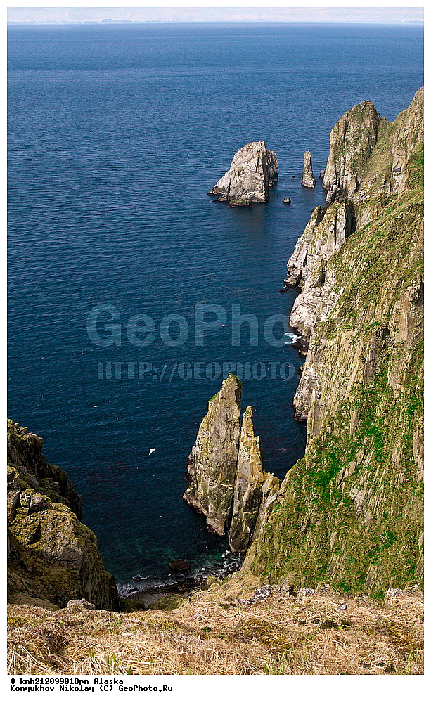 ����������� ������� ��������, ������, ���, ����� �����, DONE, ����������� �����, ������� ������, ������ ������